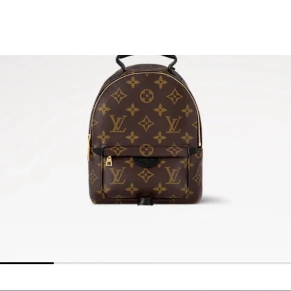 Louis Vuitton Palm Springs Mini - Picture 4 of 16